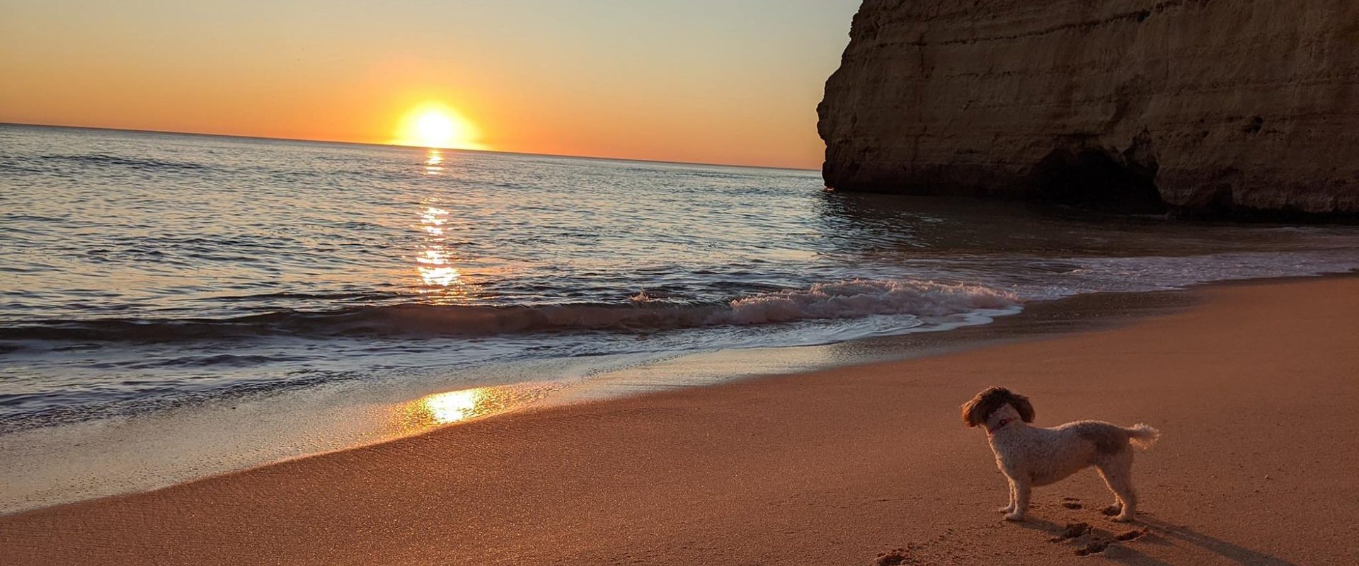 Roger, Le & Jolie on the road